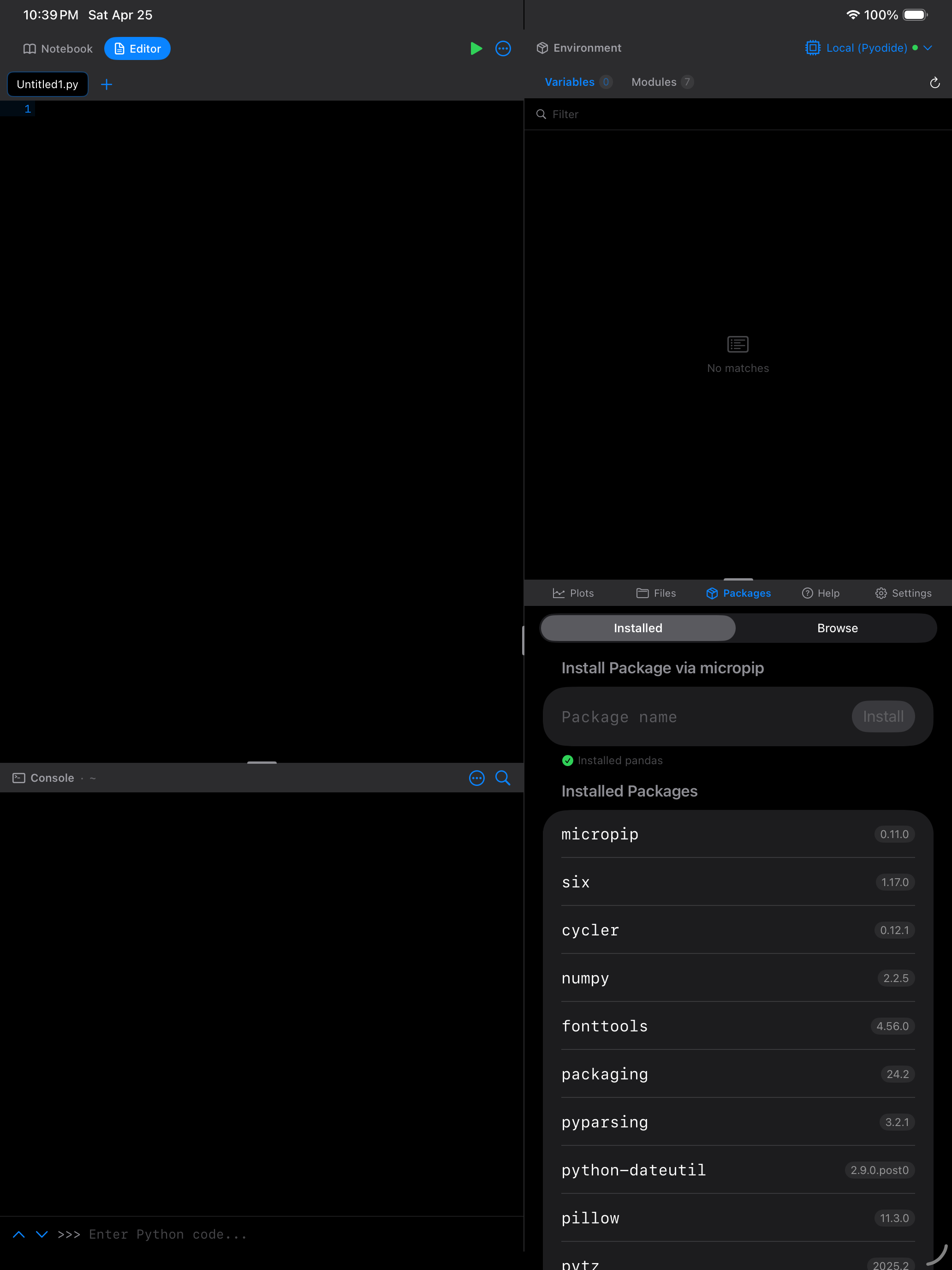 Packages tab on iPad in dark mode showing installed Python packages