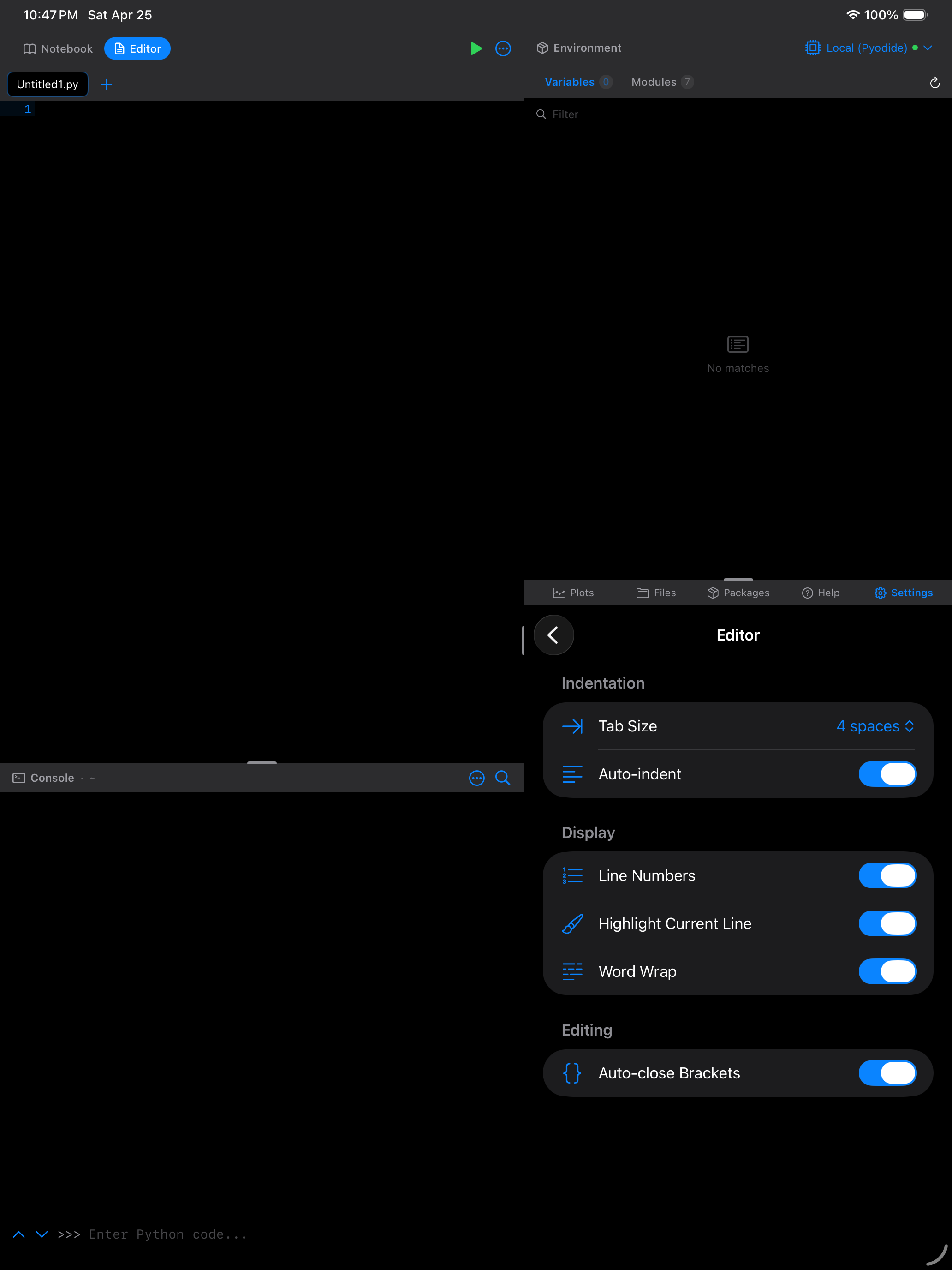 Settings > Editor on iPad in dark mode