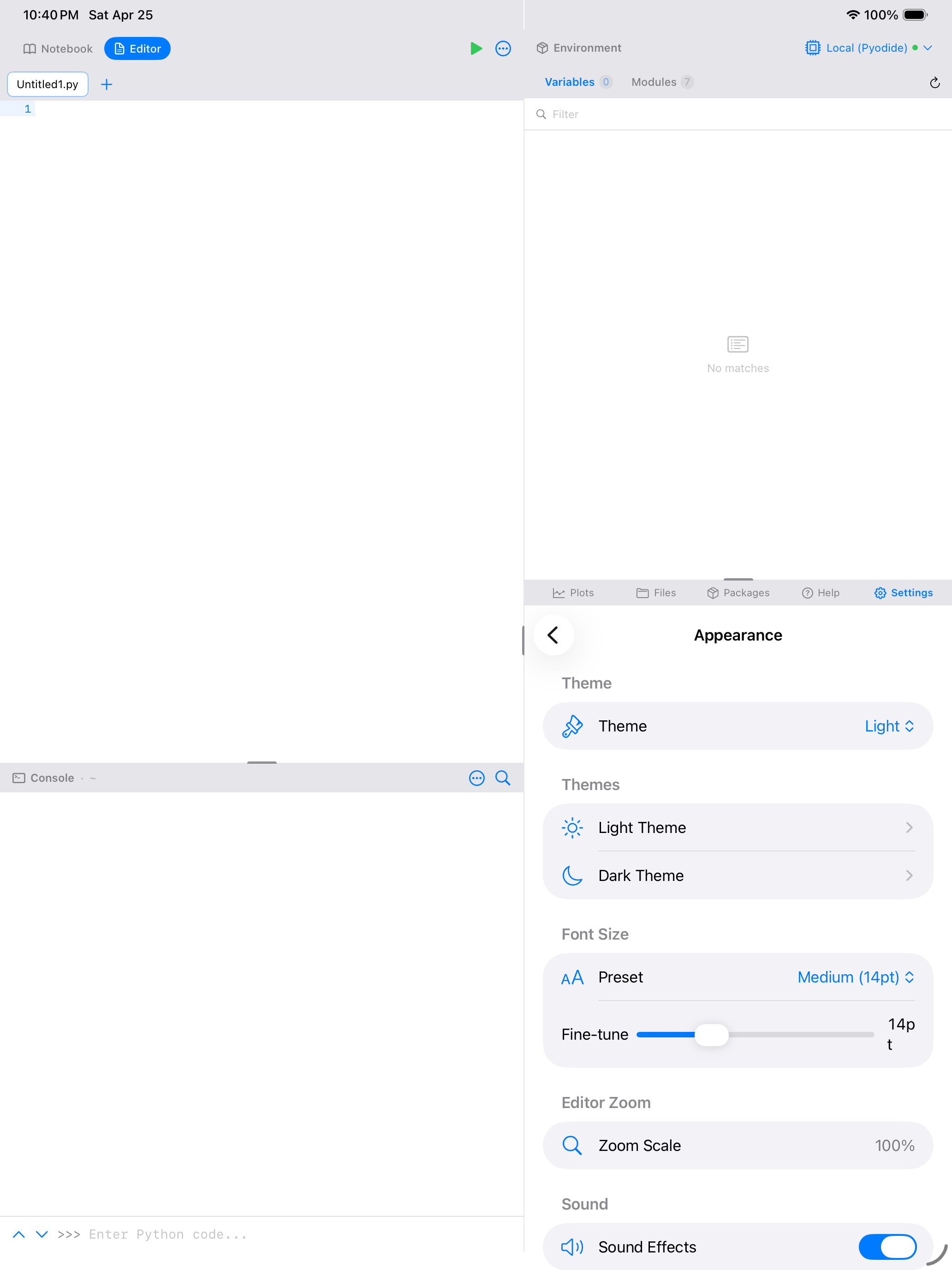 Settings > Appearance on iPad showing the theme picker with Light and Dark theme selectors