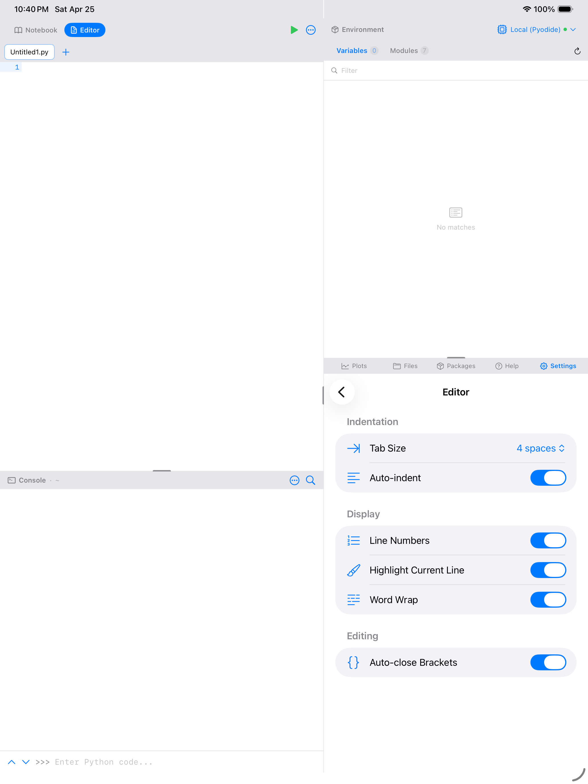 Settings > Editor on iPad showing editing options