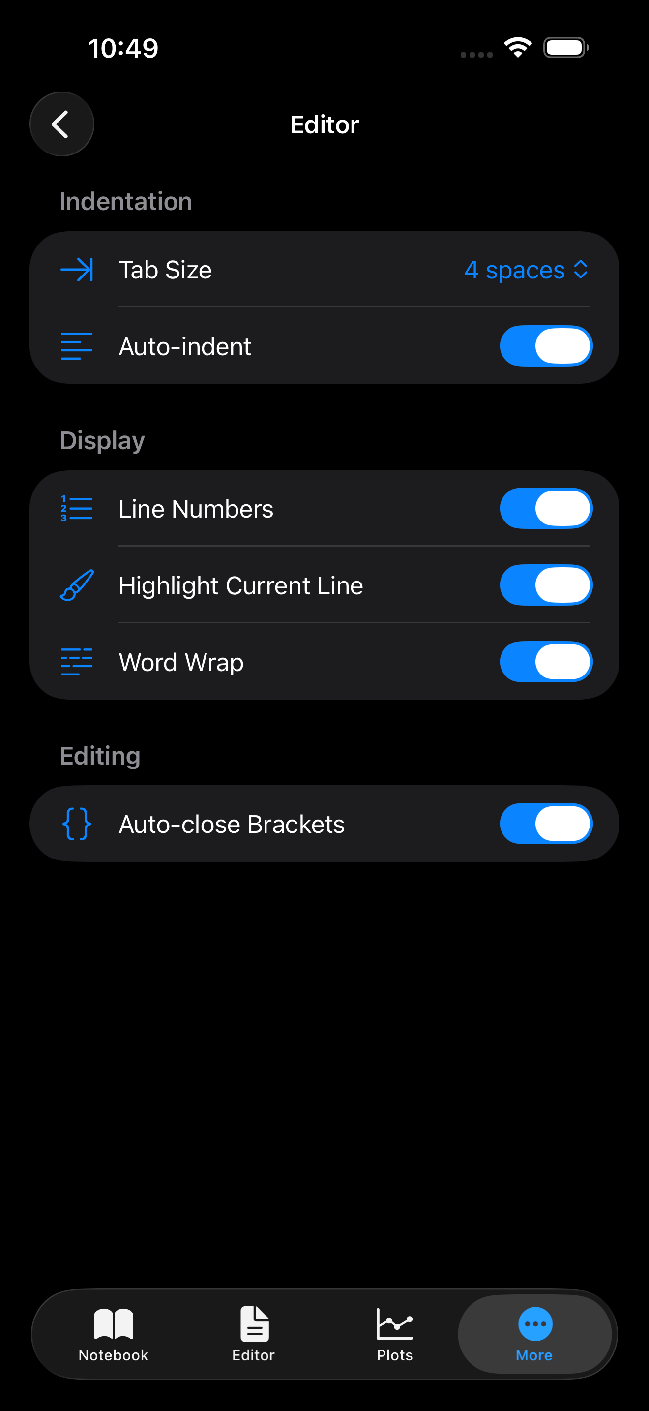 Settings > Editor on iPhone in dark mode