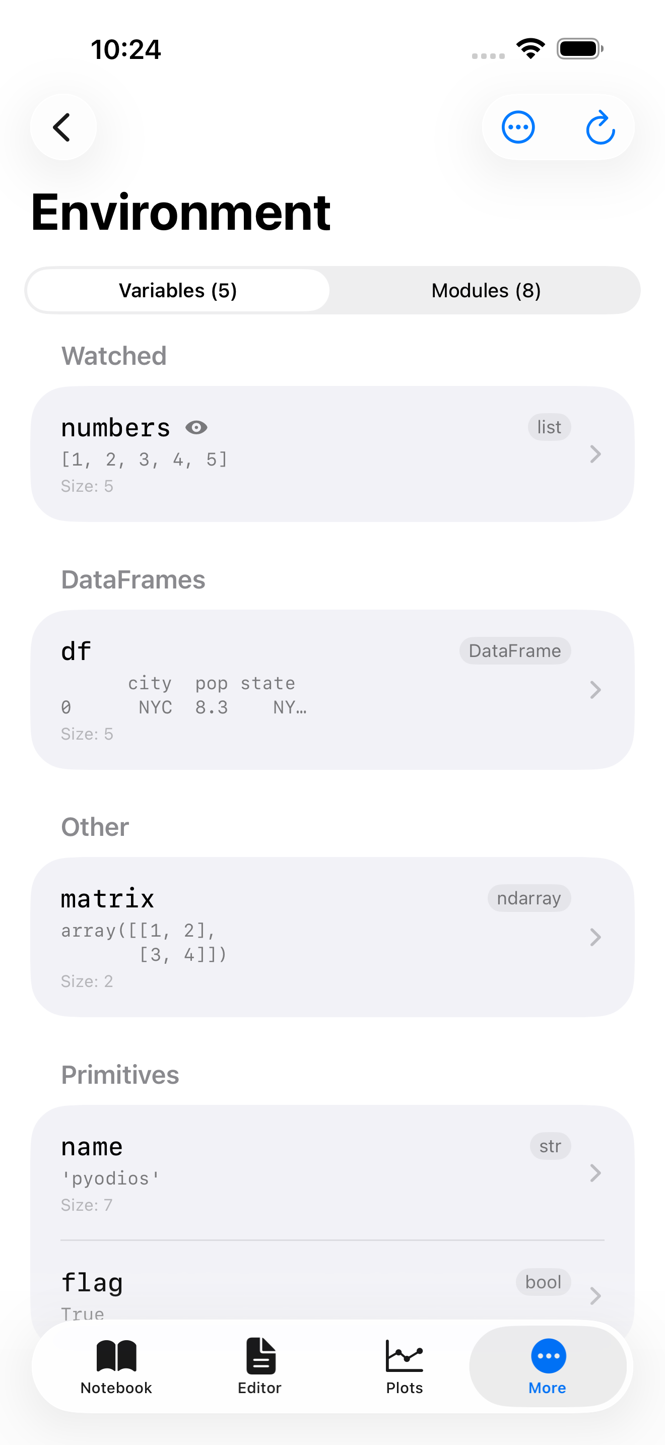 Environment list on iPhone with a watched variable pinned to the top, marked by an eye badge